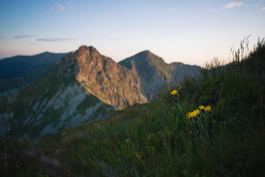 Ostrý Roháč a Plačlivé, Západní Tatry