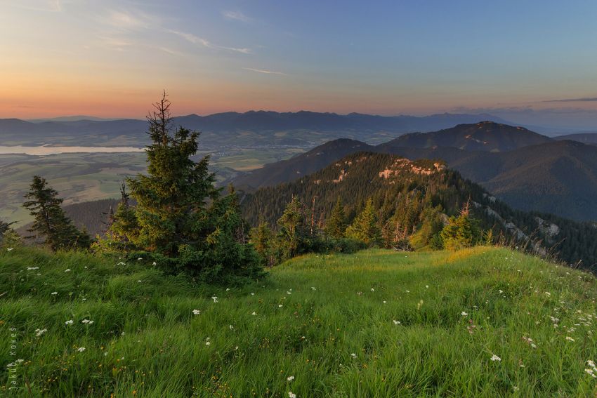 Siná, Nízké Tatry