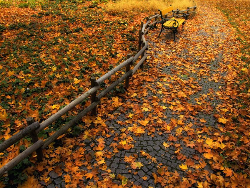 Park Lužánky, Brno