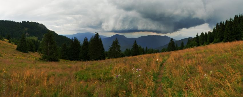 Sedlo Medzirozsutce, Malá Fatra