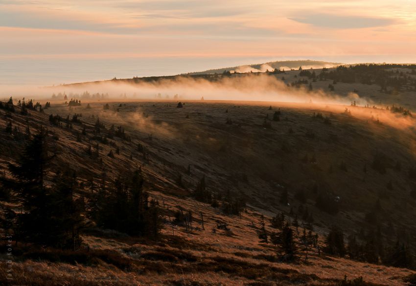 Vysoká hole, Jeseníky