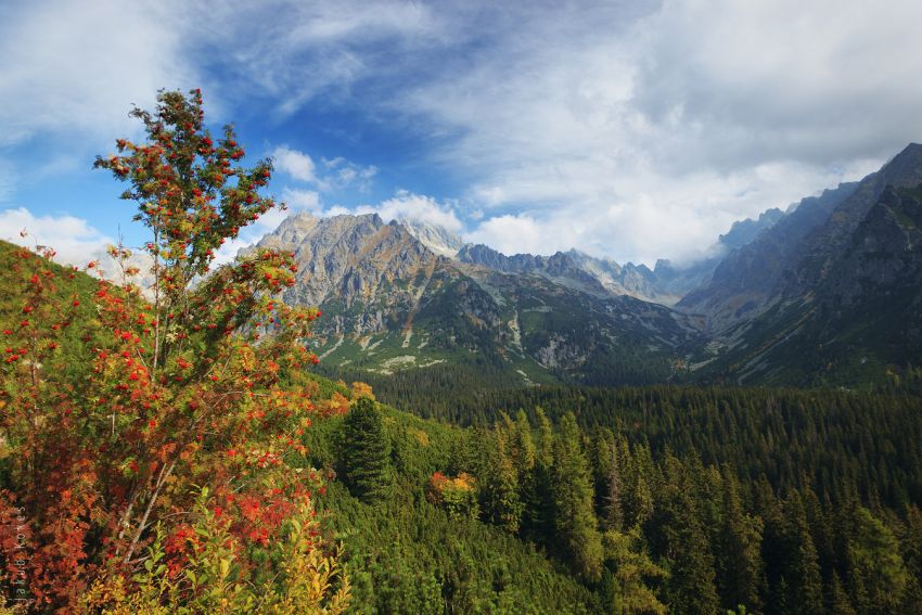 Cestou na Popradaké pleso, Vysoké Tatry