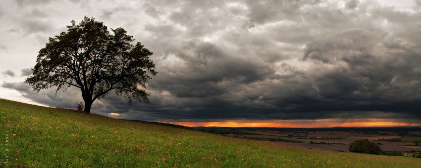 Pod Šumárníkem, Bílé Karpaty