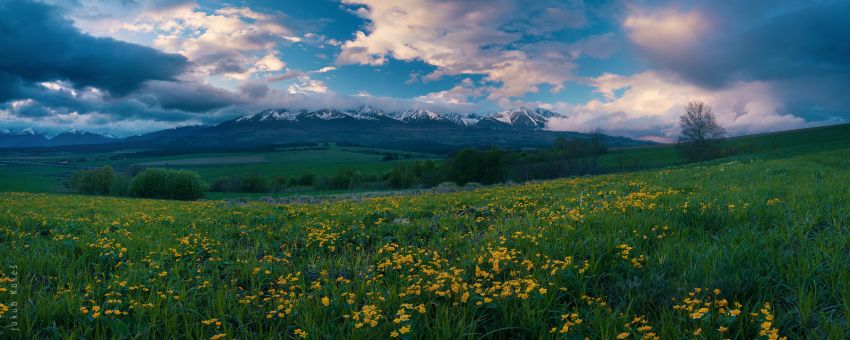 Tatry z louky u Važce