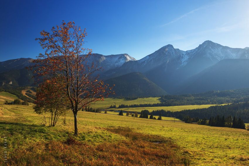 Belianské Tatry ze Ždiaru