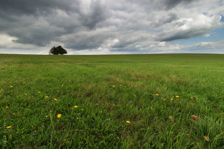 Žalostiná, Bílé Karpaty