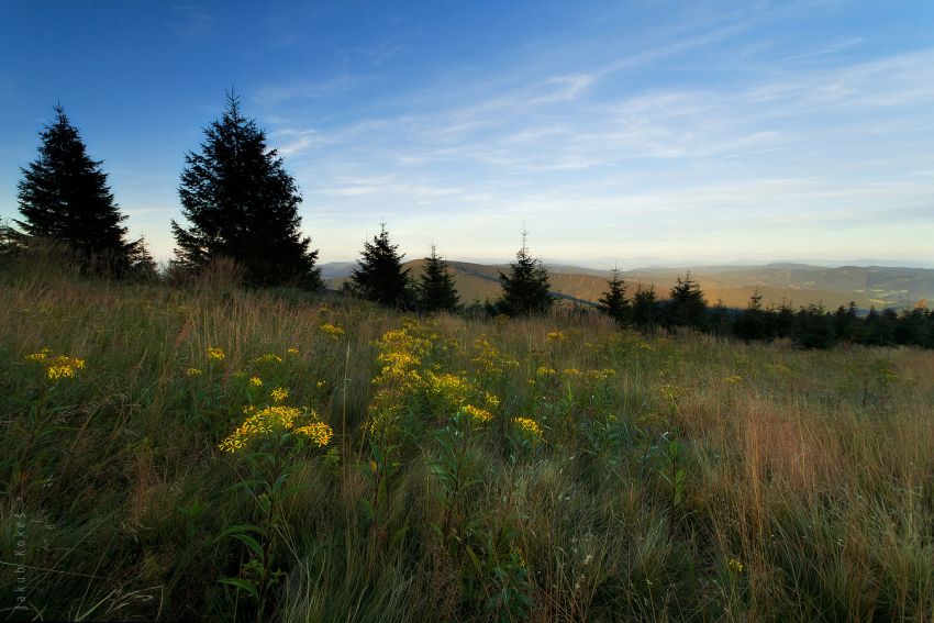 Na Lysé hoře, Beskydy