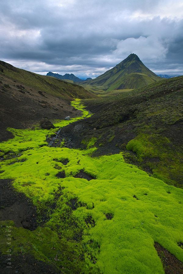 Laugavegur trek, Island