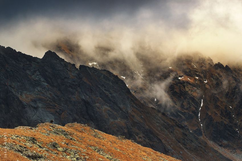 Vyšné Kôprovské sedlo, Vysoké Tatry