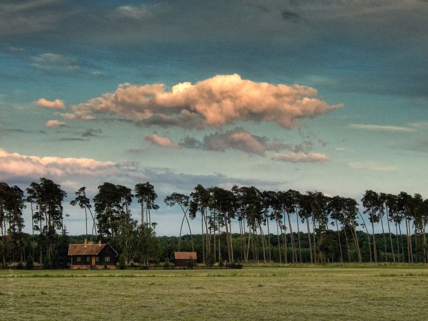 Pohansko u Břeclavi, Jižní Morava