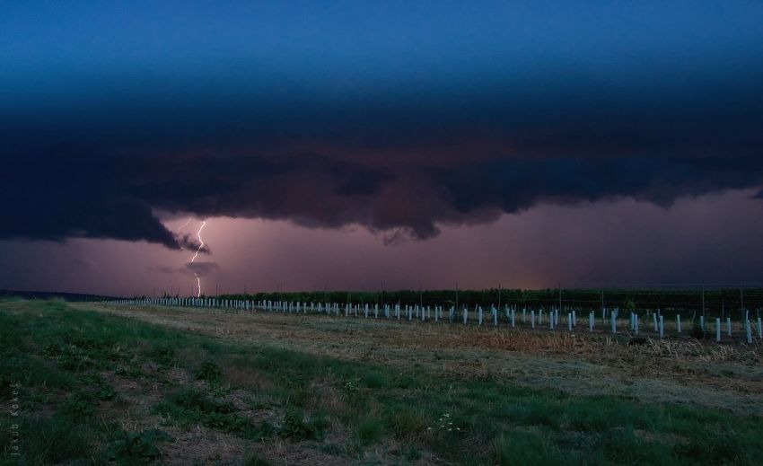 Vinohrady u Sudoměřic, Jižní Morava