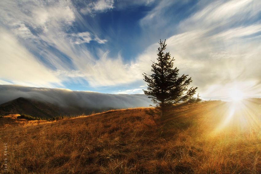 Na Poludňovom grúni, Malá Fatra