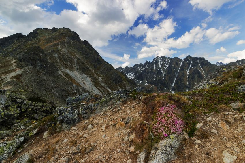 Cestou na Predné Solisko, Vysoké Tatry