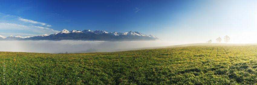 Vysoké Tatry z louky u Važce