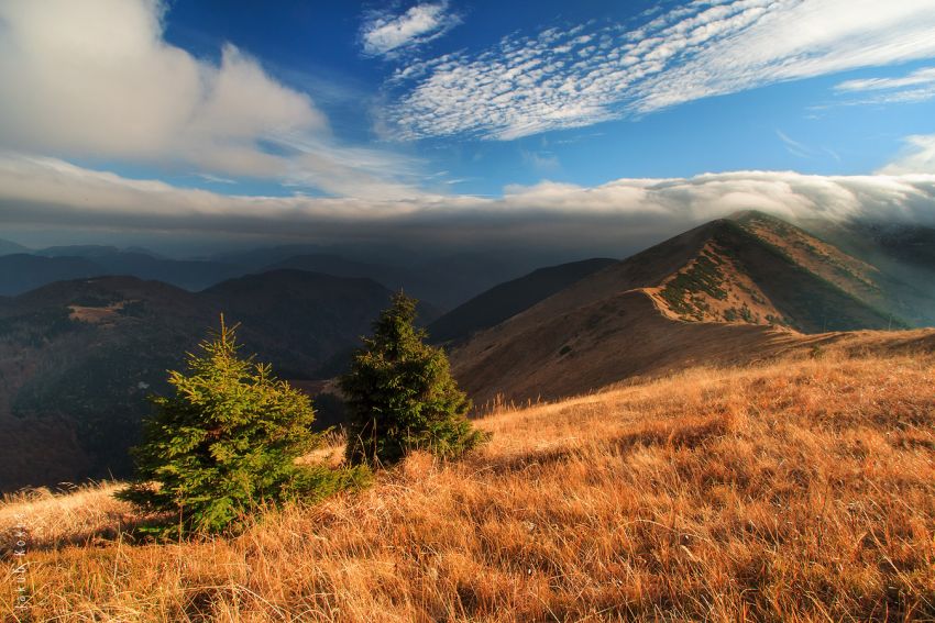 Poludňový grúň, Malá Fatra