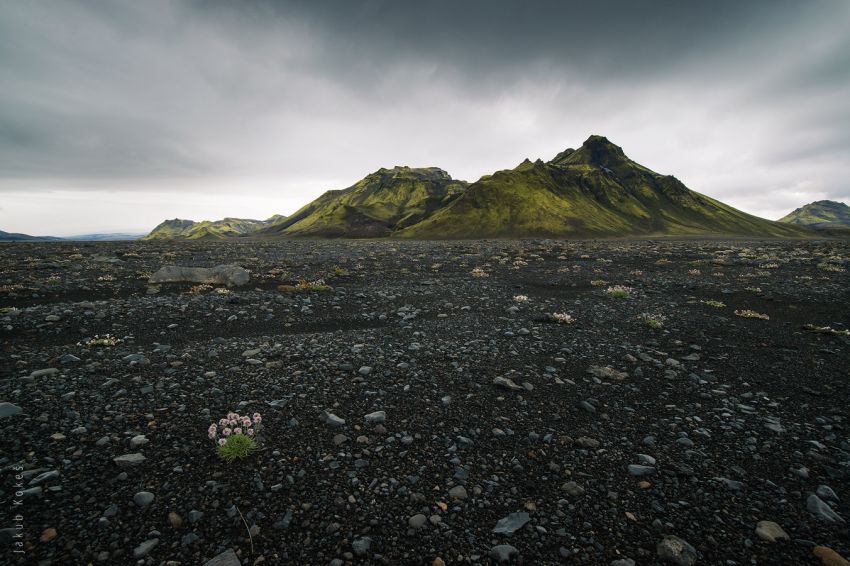 Laugavegur trek, Island