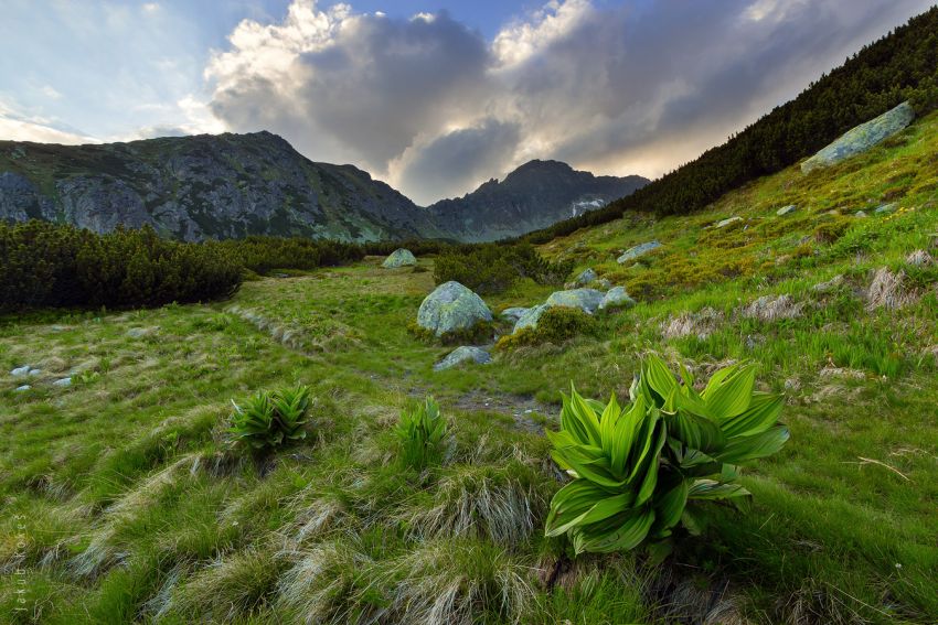 Furkotská dolina, Vysoké Tatry