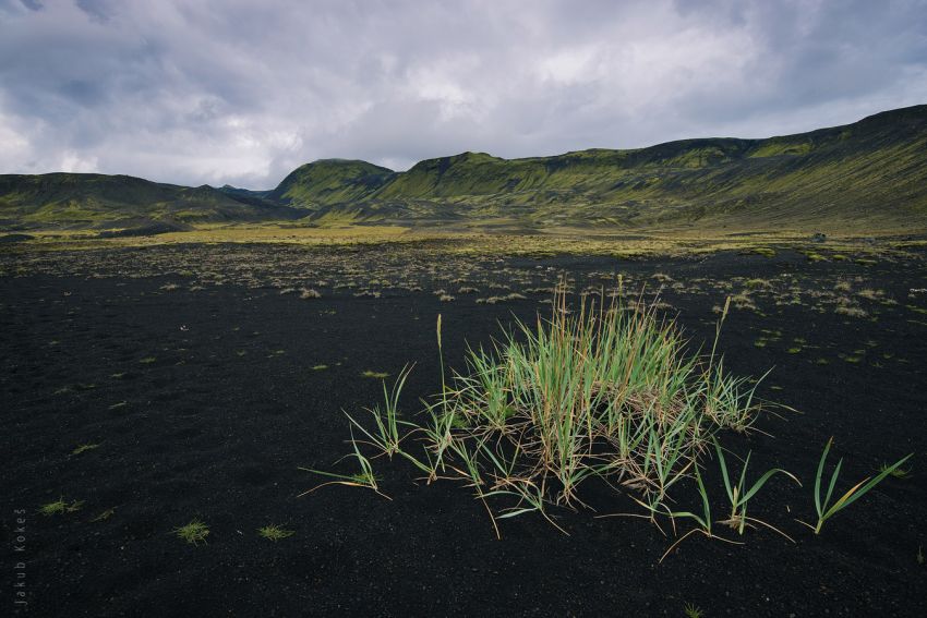 Laugavegur trek, Island