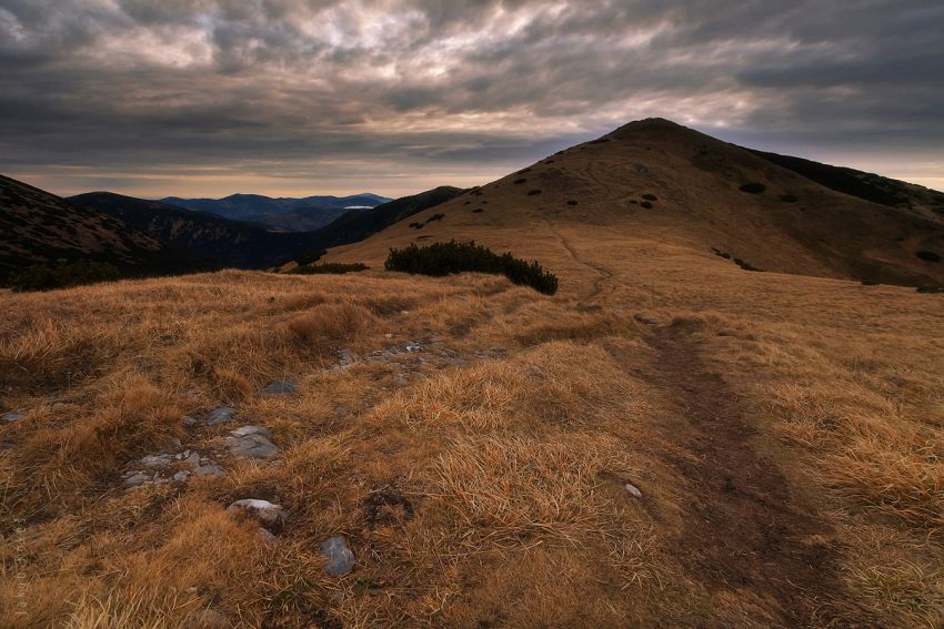 Králička, Nízké Tatry