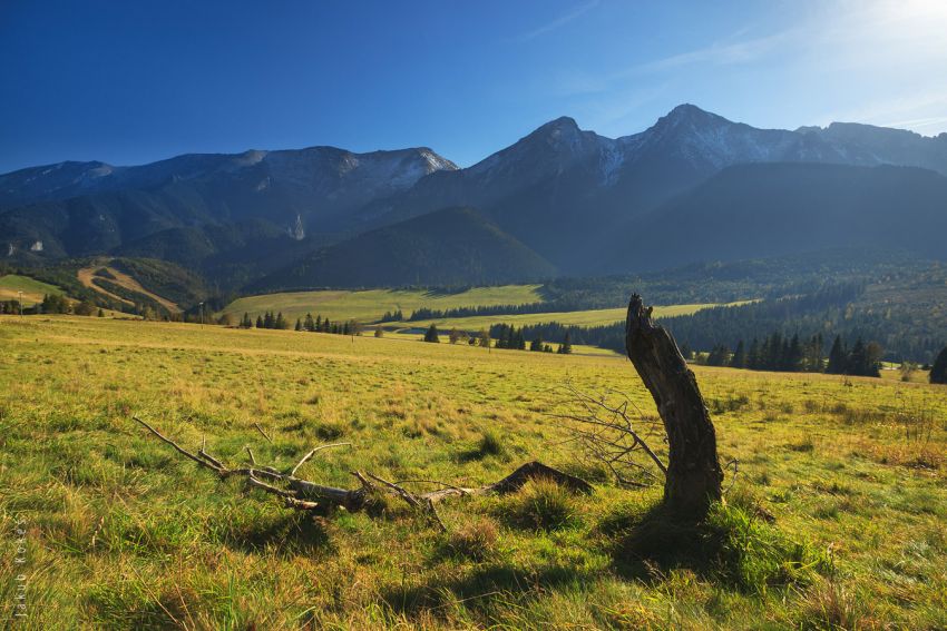 Belianské Tatry ze Ždiaru