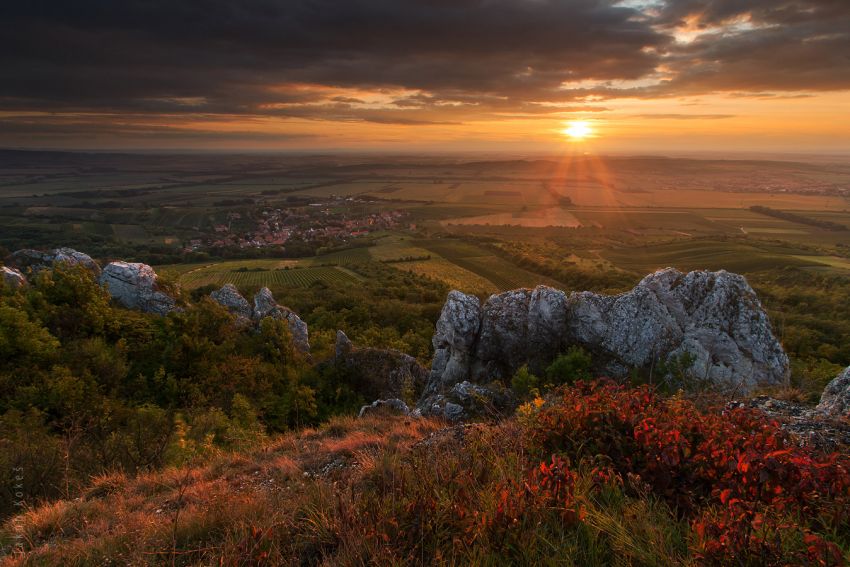 Stolová hora, Pálava